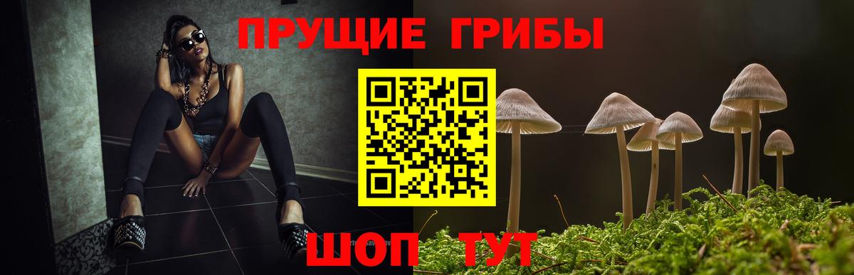 Галлюциногенные грибы Psilocybine cubensis Острогожск